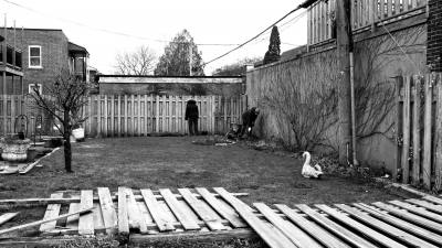 NDG APRIL 2022 Image
