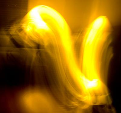 YELLOW SWAN Image