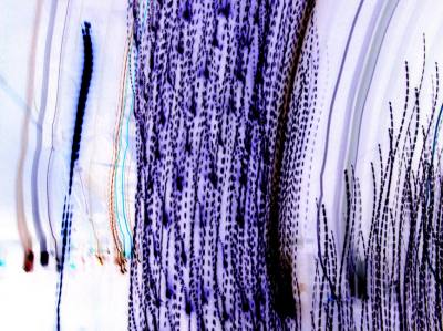 PURPLE STREAKS Image