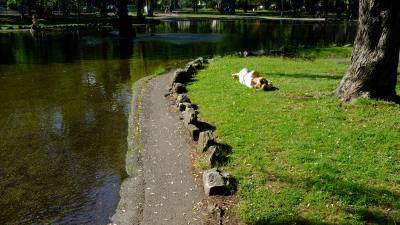 PARC OUTREMONT MAY 2022 Image