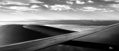 IN FLIGHT Image