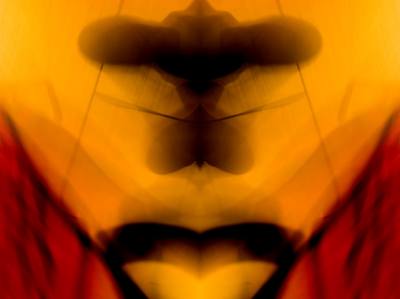 ORANGE MAN 02 Image