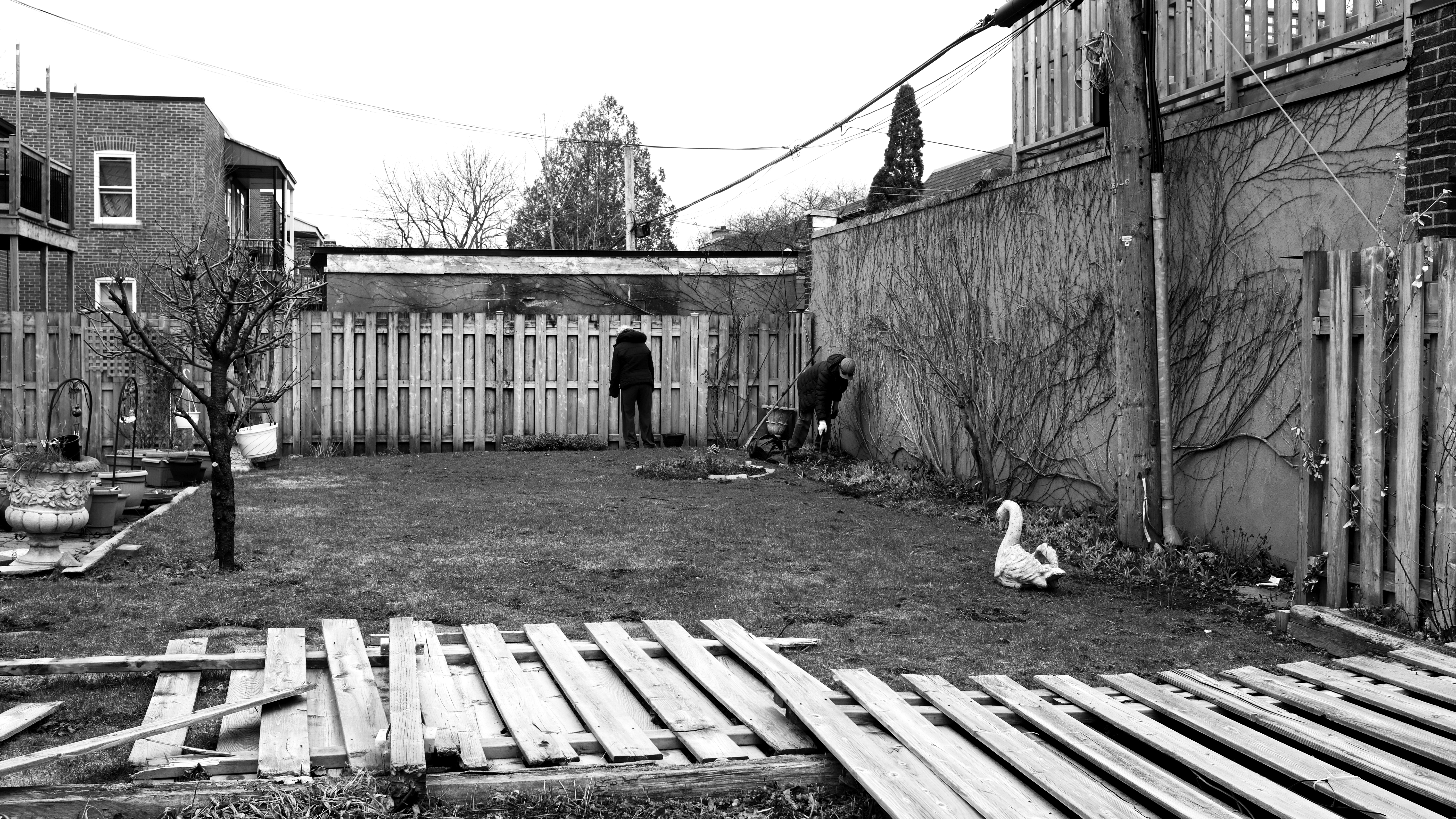 NDG APRIL 2022 Image