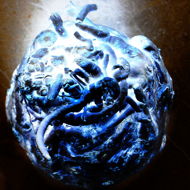 CELERIAC #4 Image