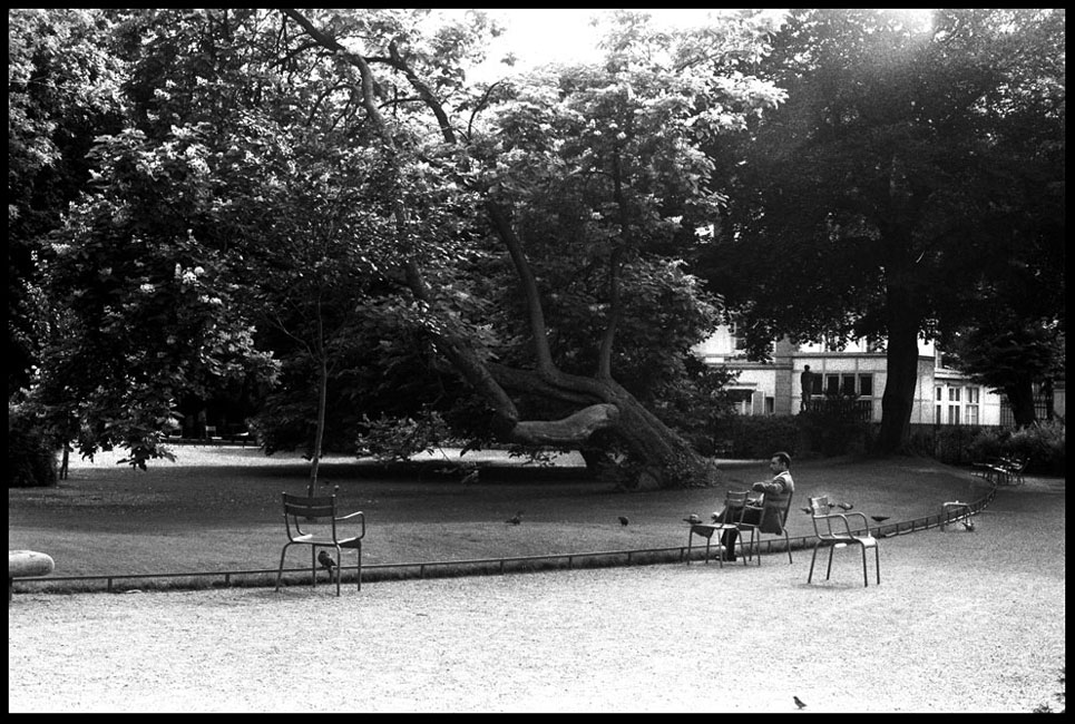 UN HOMME UN PARC, PARIS Image