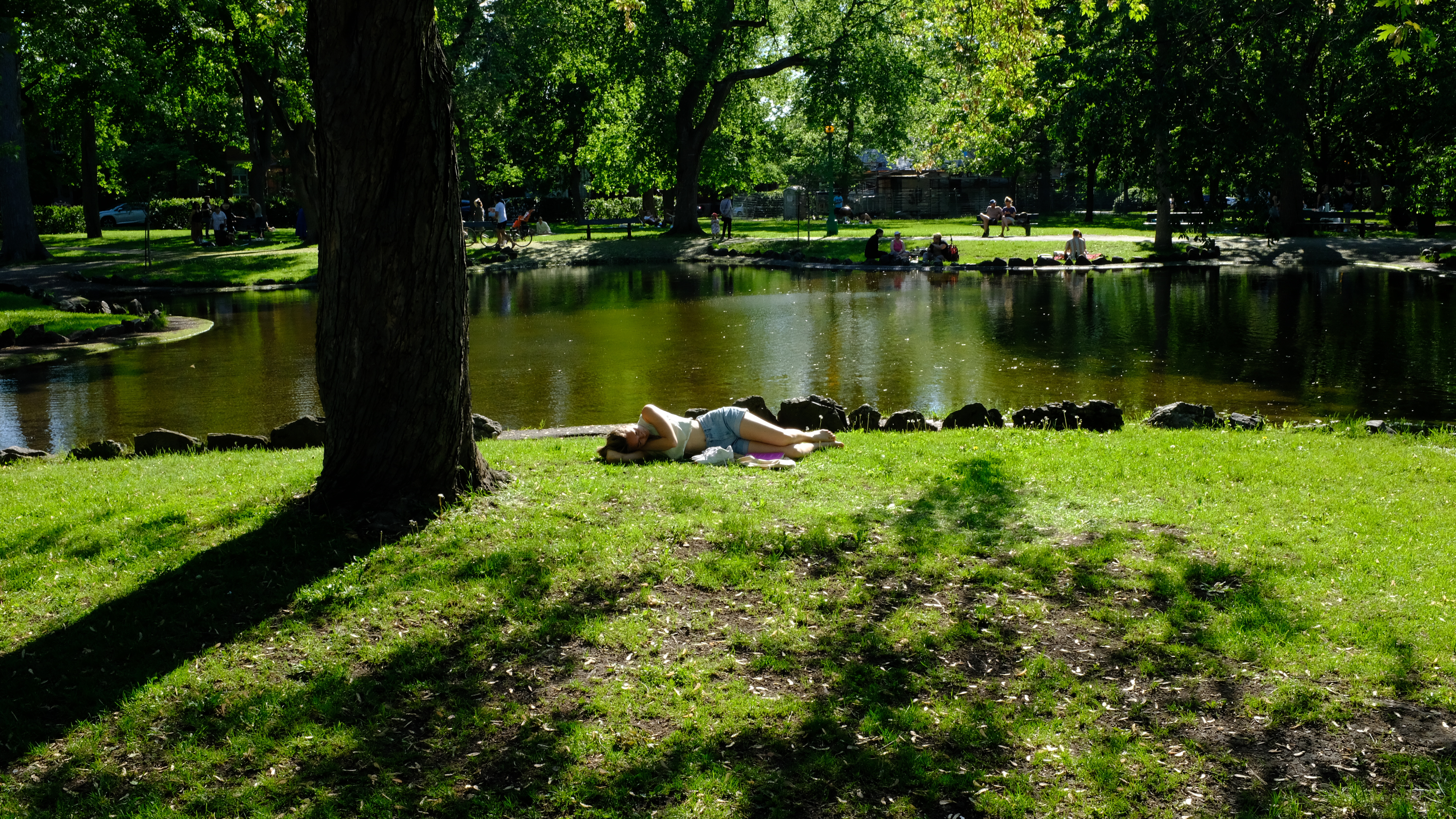 PARC OUTREMONT MAY 2022 Image
