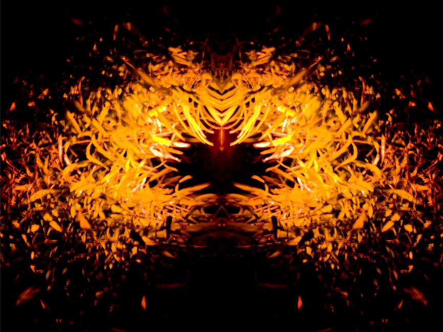 PLEASURE SPOT Image