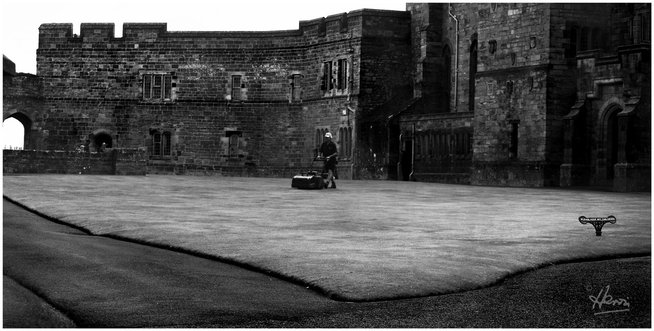 MOWER Image