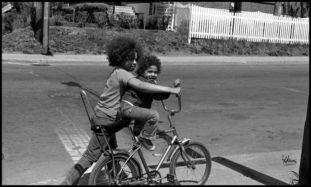 BANANA SEAT & BUTTERFLY HANDLE BARS Image
