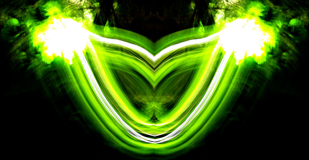 BUTTER FLY Image