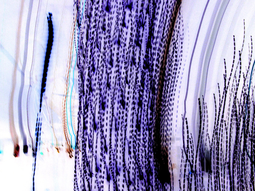 PURPLE STREAKS Image