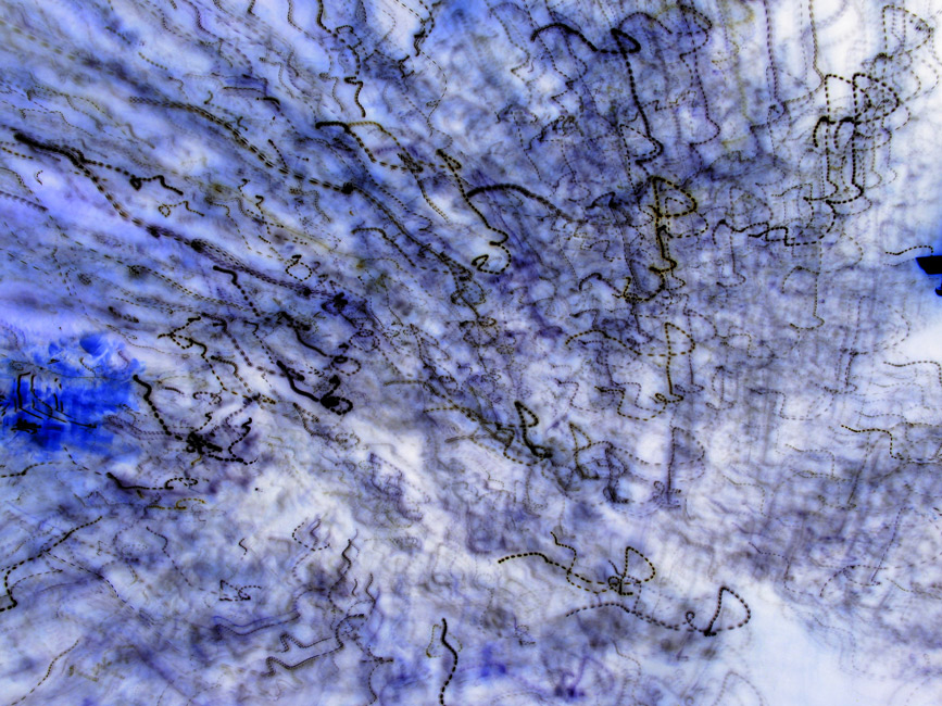 BLUEBLOTCH Image