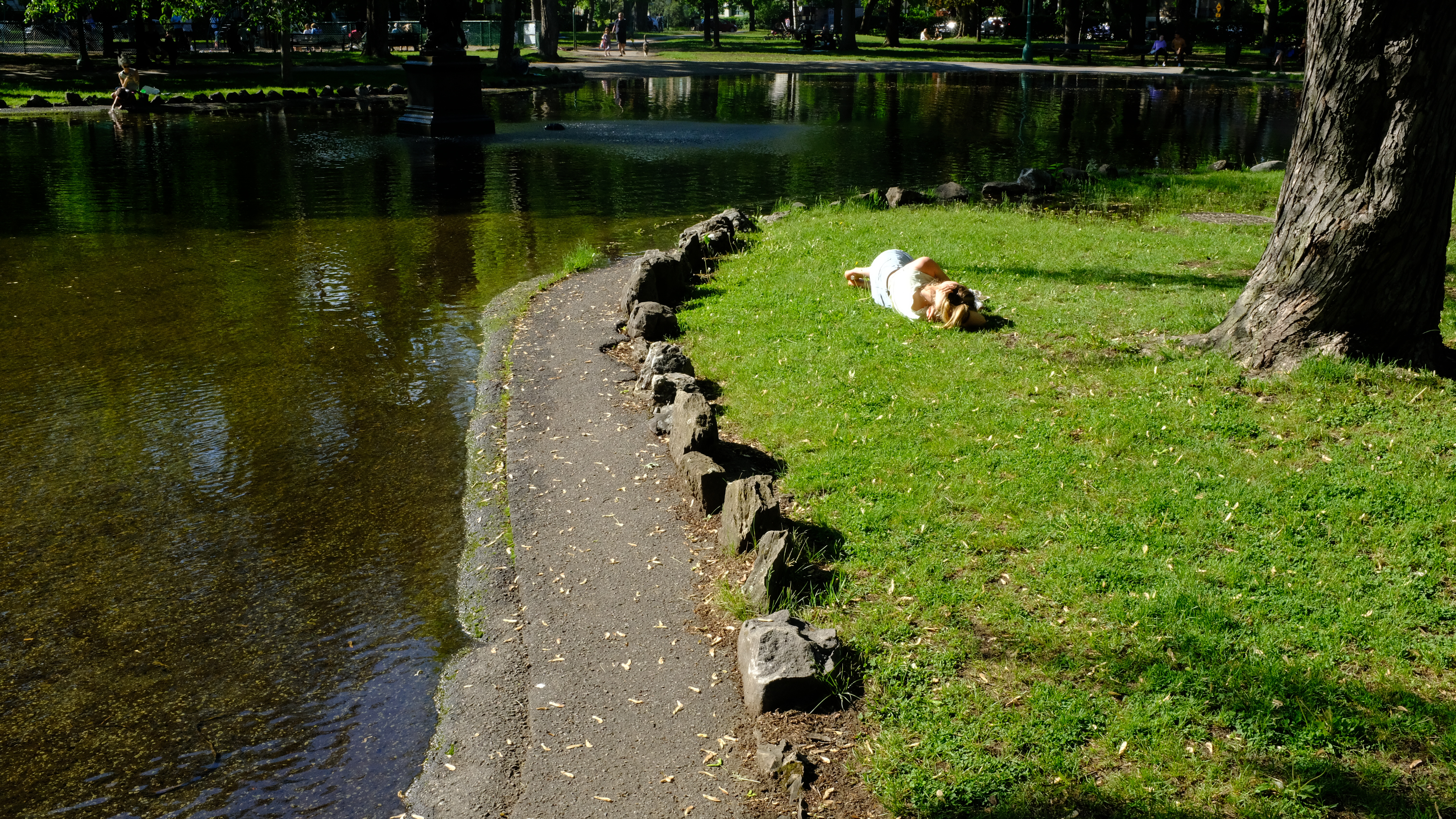 PARC OUTREMONT MAY 2022 Image