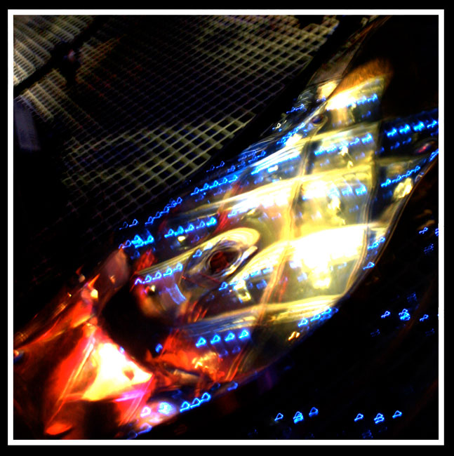FISHEYE Image